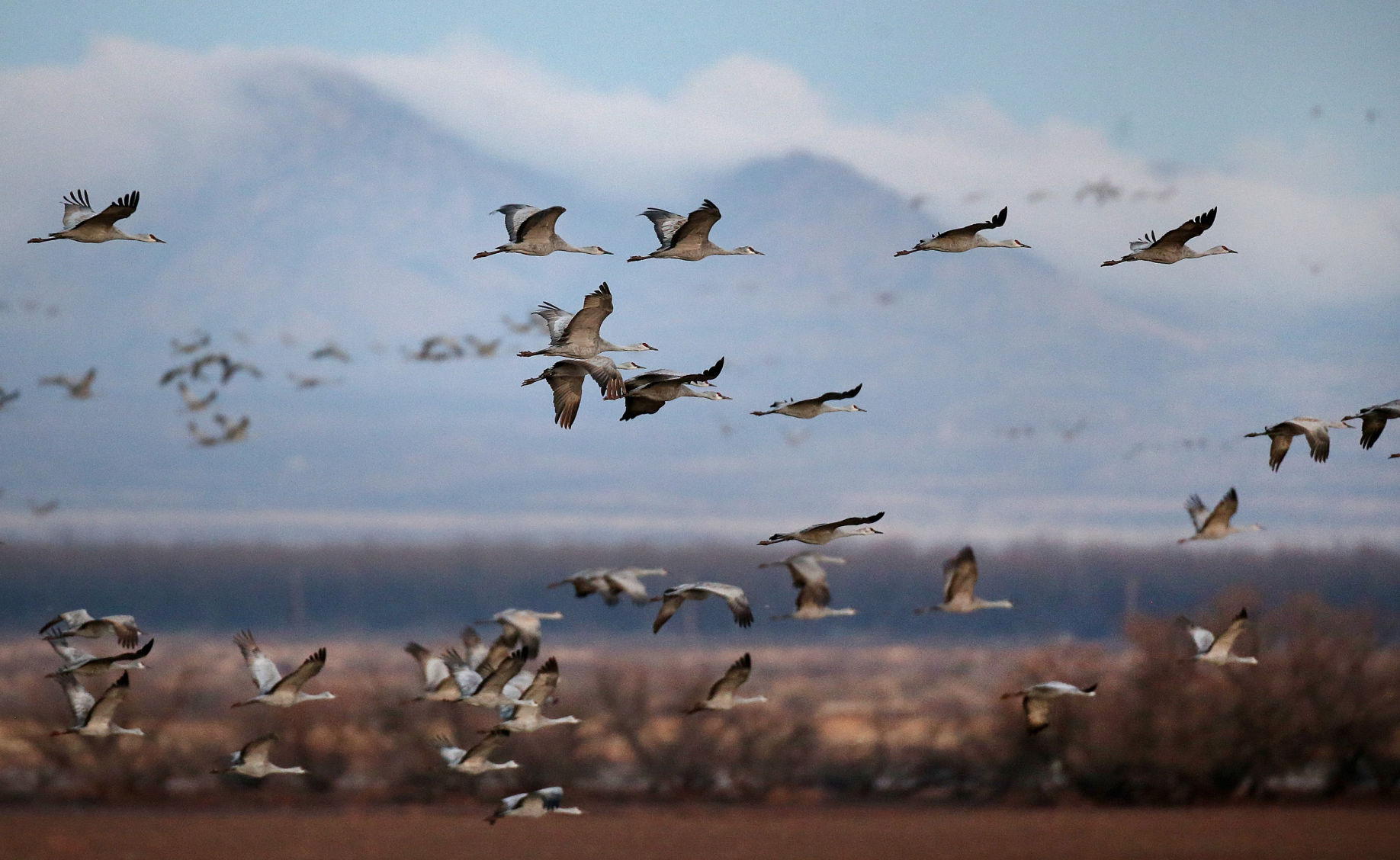2018 Wings over Willcox